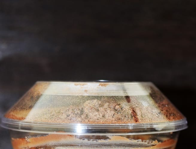 Torta Alem? em foto aut?ntica